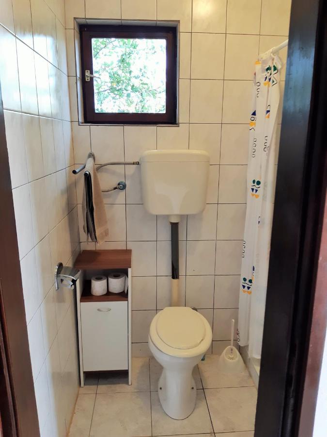 Dalmatino Apartmani Vir Εξωτερικό φωτογραφία