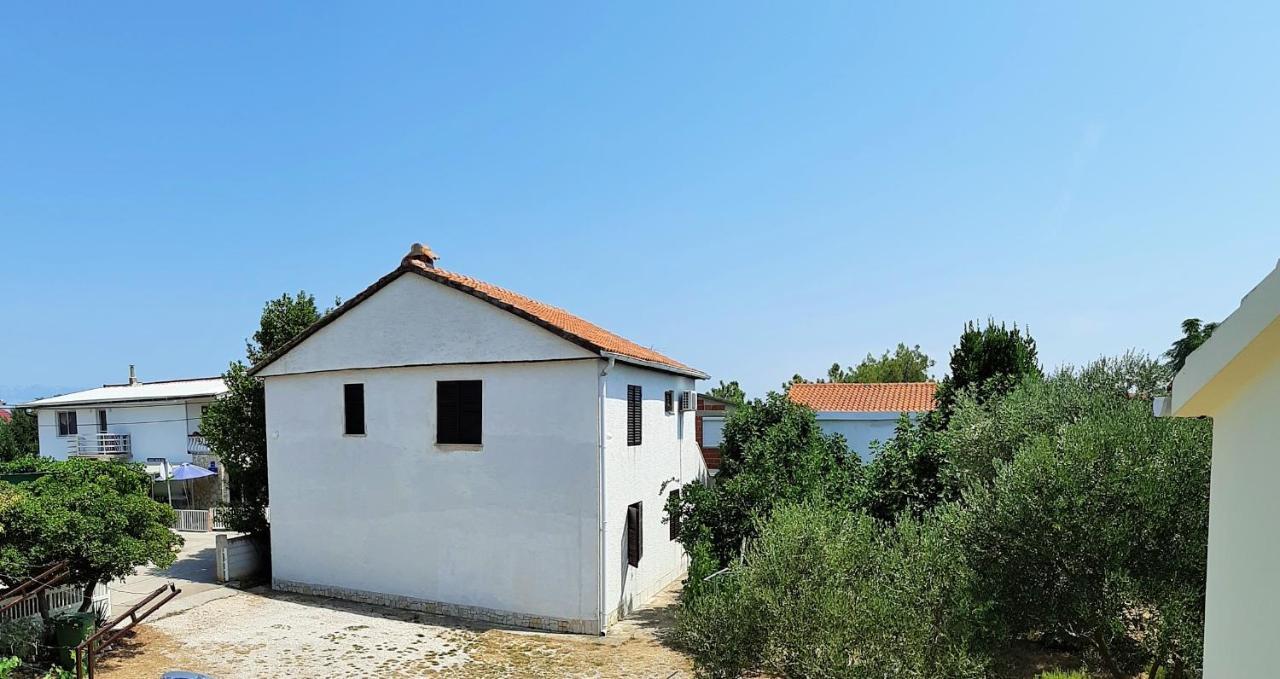 Dalmatino Apartmani Vir Εξωτερικό φωτογραφία