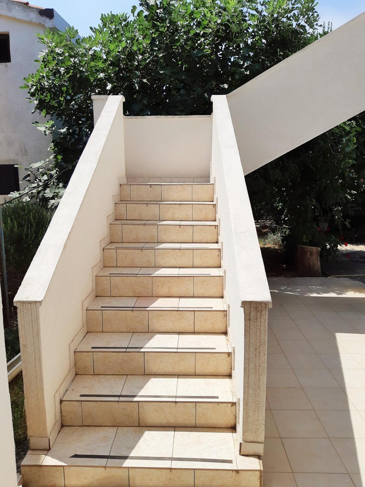 Dalmatino Apartmani Vir Δωμάτιο φωτογραφία